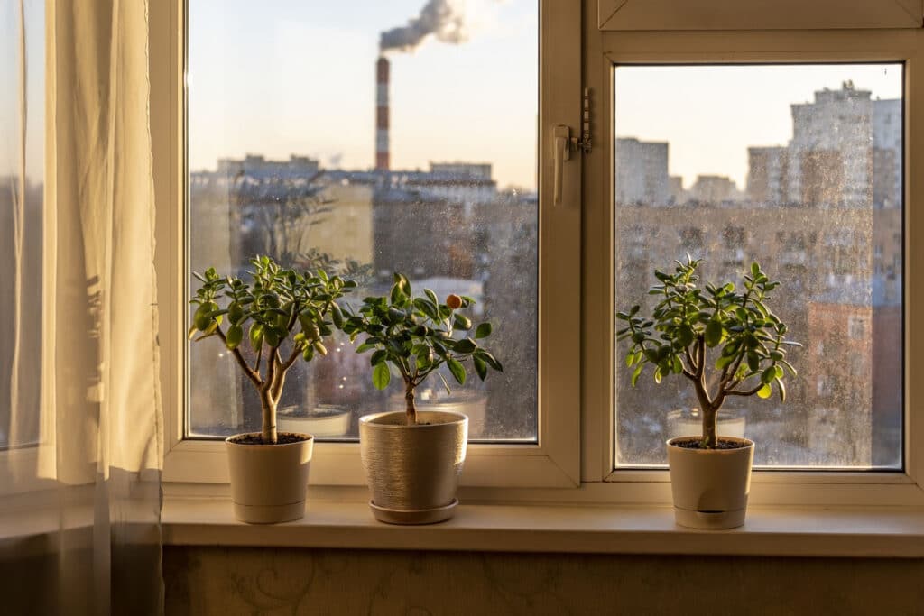 Nos fenêtres en aluminium haut de gamme bordeaux